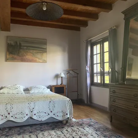 Le Moulin De L'anglee * Sanxay