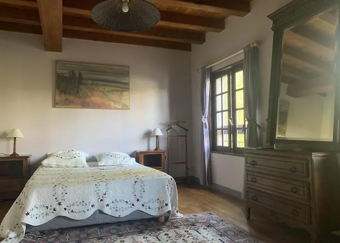 Le Moulin De L'anglee * Sanxay